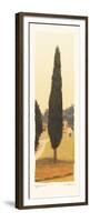Cypress I-Amy Melious-Framed Premium Giclee Print