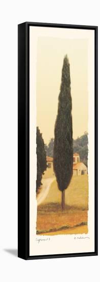 Cypress I-Amy Melious-Framed Stretched Canvas