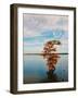 Cypress in Autumn 1-Jai Johnson-Framed Photographic Print