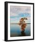 Cypress in Autumn 1-Jai Johnson-Framed Photographic Print