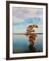 Cypress in Autumn 1-Jai Johnson-Framed Photographic Print