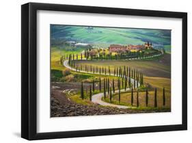 Cypress Lined Tuscany Road-null-Framed Art Print