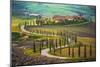 Cypress Lined Tuscany Road-null-Mounted Art Print