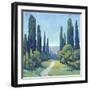 Cypress Path I-Tim OToole-Framed Art Print