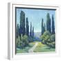 Cypress Path I-Tim OToole-Framed Art Print