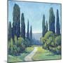 Cypress Path I-Tim OToole-Mounted Art Print