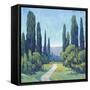 Cypress Path I-Tim OToole-Framed Stretched Canvas