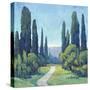 Cypress Path I-Tim OToole-Stretched Canvas