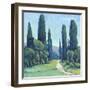 Cypress Path II-Tim OToole-Framed Art Print