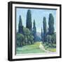 Cypress Path II-Tim OToole-Framed Art Print