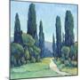 Cypress Path II-Tim OToole-Mounted Art Print