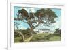 Cypress Point Golf Club, Pebble Beach, California-null-Framed Premium Giclee Print