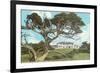 Cypress Point Golf Club, Pebble Beach, California-null-Framed Premium Giclee Print