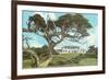 Cypress Point Golf Club, Pebble Beach, California-null-Framed Art Print