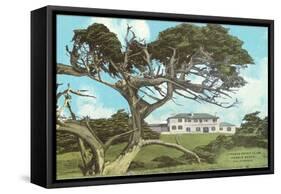 Cypress Point Golf Club, Pebble Beach, California-null-Framed Stretched Canvas