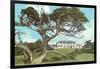 Cypress Point Golf Club, Pebble Beach, California-null-Framed Art Print