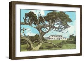 Cypress Point Golf Club, Pebble Beach, California-null-Framed Art Print