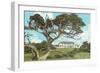 Cypress Point Golf Club, Pebble Beach, California-null-Framed Art Print