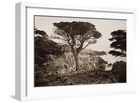 Cypress Point, Monterey, California, about 1880s-Carleton Watkins-Framed Art Print