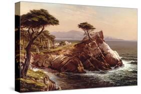 Cypress Point-Raymond D Yelland-Stretched Canvas