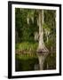 Cypress Reflected in Bayou Along Highway 61 on Stormy Summer Afternoon, New Orleans, Louisiana, Usa-Paul Souders-Framed Photographic Print