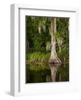 Cypress Reflected in Bayou Along Highway 61 on Stormy Summer Afternoon, New Orleans, Louisiana, Usa-Paul Souders-Framed Photographic Print