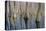 Cypress Reflection Panoramic-Moises Levy-Stretched Canvas