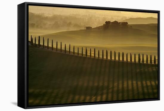 Cypress shadows-Jarek Pawlak-Framed Stretched Canvas