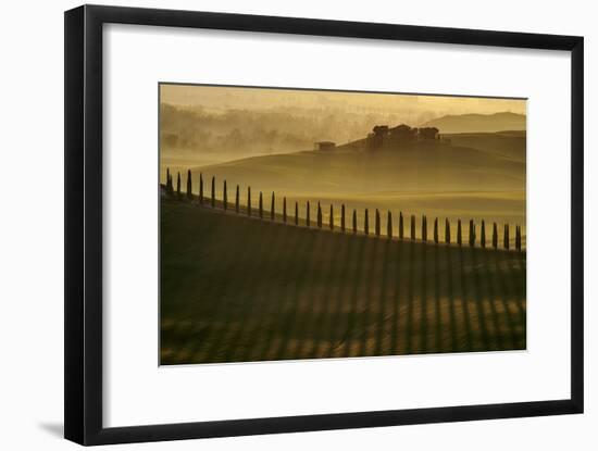Cypress shadows-Jarek Pawlak-Framed Photographic Print