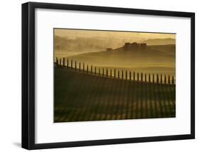 Cypress shadows-Jarek Pawlak-Framed Photographic Print