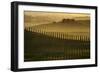 Cypress shadows-Jarek Pawlak-Framed Photographic Print