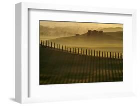 Cypress shadows-Jarek Pawlak-Framed Photographic Print