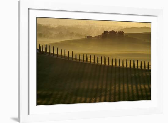 Cypress shadows-Jarek Pawlak-Framed Photographic Print