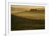 Cypress shadows-Jarek Pawlak-Framed Photographic Print