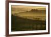 Cypress shadows-Jarek Pawlak-Framed Photographic Print