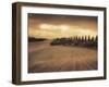 Cypress Study - Tuscany-Jamie Cook-Framed Giclee Print