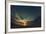 Cypress Sunrise I-Sebastien Lory-Framed Photographic Print