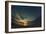 Cypress Sunrise I-Sebastien Lory-Framed Photographic Print