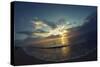 Cypress Sunrise II-Sebastien Lory-Stretched Canvas
