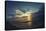 Cypress Sunrise II-Sebastien Lory-Stretched Canvas