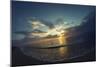 Cypress Sunrise II-Sebastien Lory-Mounted Photographic Print