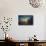 Cypress Sunrise II-Sebastien Lory-Photographic Print displayed on a wall