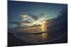 Cypress Sunrise II-Sebastien Lory-Mounted Photographic Print