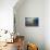 Cypress Sunrise III-Sebastien Lory-Photographic Print displayed on a wall