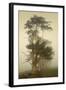 Cypress Symmetry-David Lorenz Winston-Framed Art Print