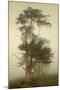 Cypress Symmetry-David Lorenz Winston-Mounted Art Print
