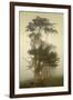 Cypress Symmetry-David Lorenz Winston-Framed Art Print