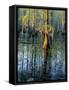 Cypress Tree and Bladderwort Flowers in Swamp-James Randklev-Framed Stretched Canvas