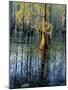 Cypress Tree and Bladderwort Flowers in Swamp-James Randklev-Mounted Photographic Print