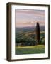 Cypress Tree and Countryside Near Val D'Asso, Tuscany, Italy, Europe-Patrick Dieudonne-Framed Photographic Print